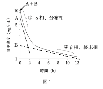 解説画像